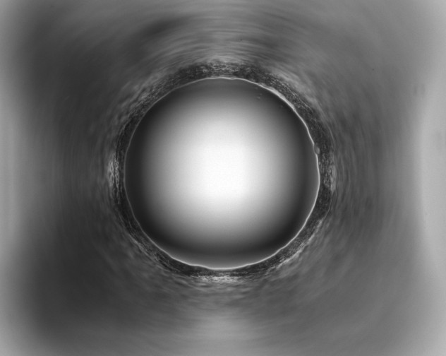 X0000094201061200710261147