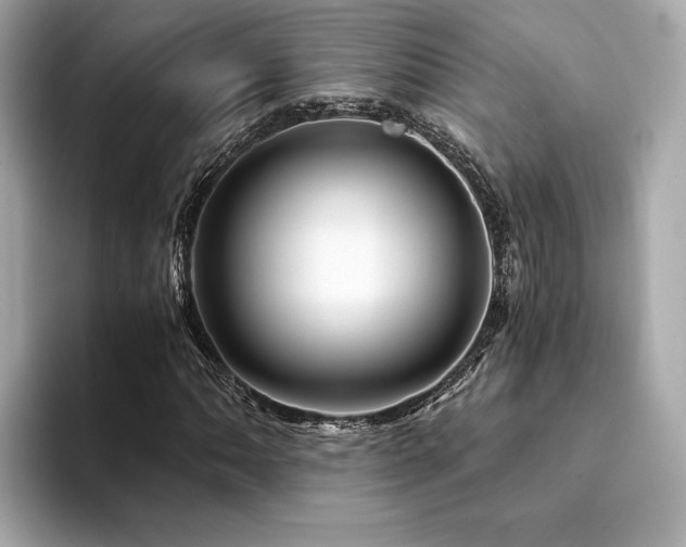 X0000094201062200710261147
