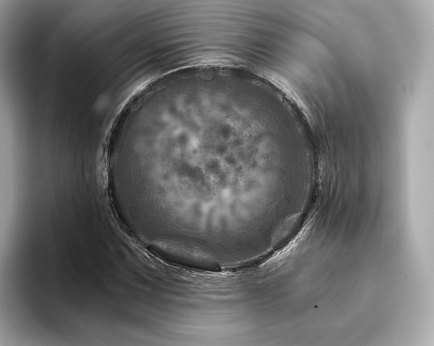X0000094201067200710261147