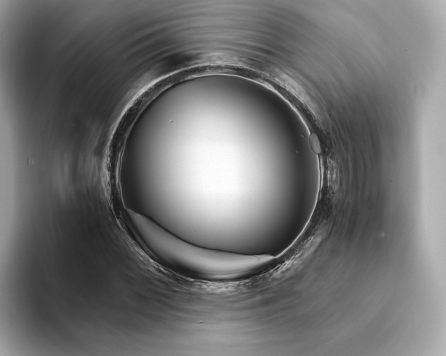 X0000094201068200710261147