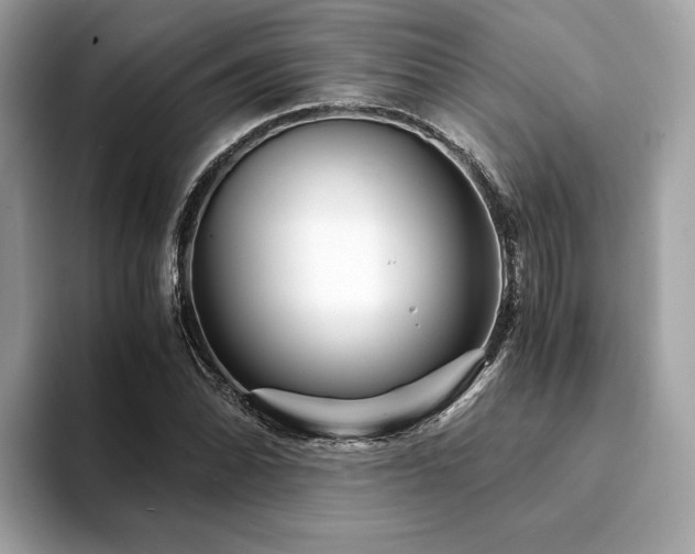 X0000094201070200710261147