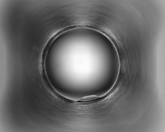 X0000094201071200710261147