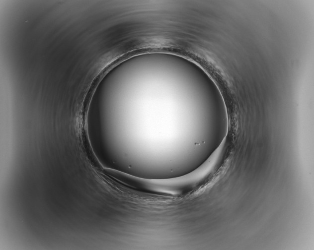 X0000094201073200710261147