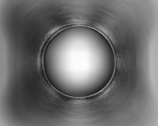 X0000094201074200710261147