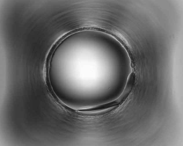 X0000094201076200710261147