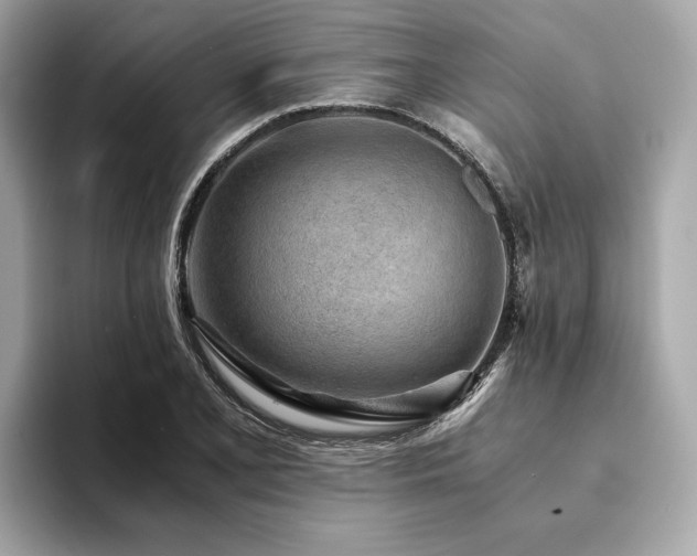 X0000094201077200710261147