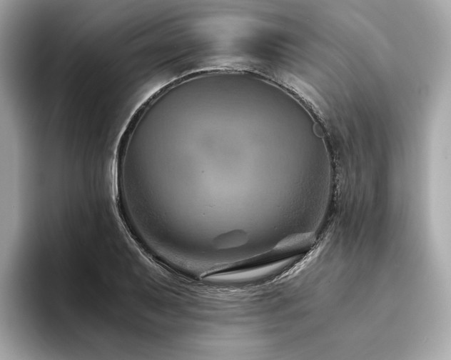 X0000094201079200710261147