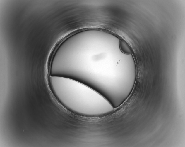 X0000094201080200710261147