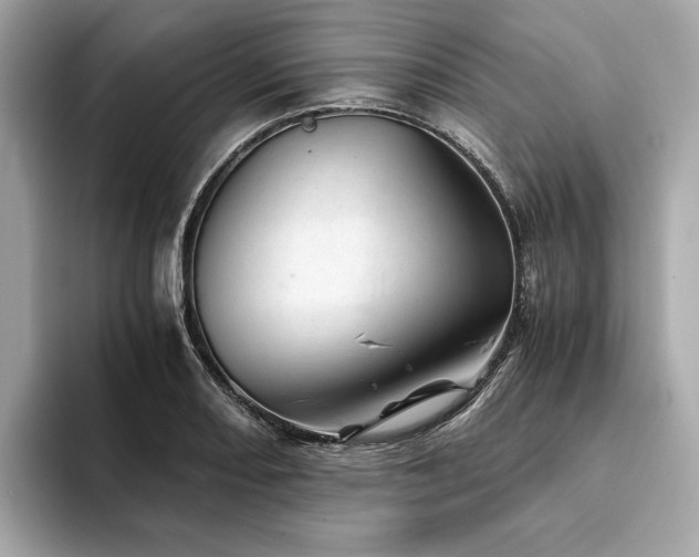 X0000094201082200710261147