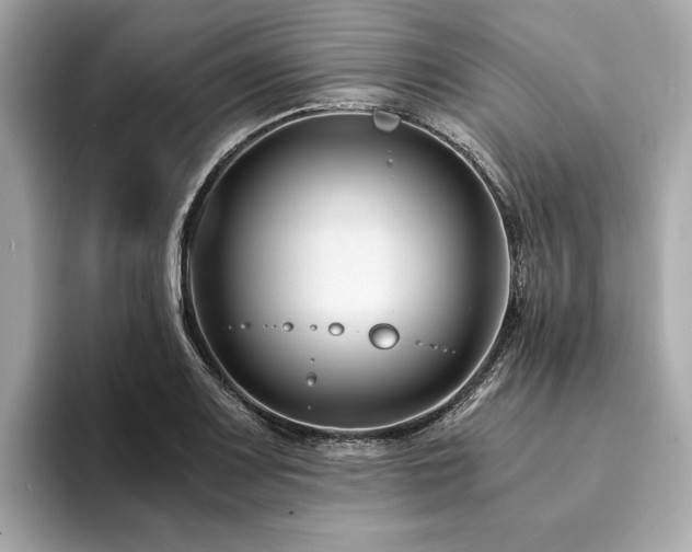 X0000094201083200710261147