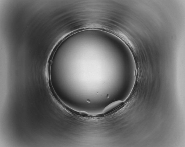X0000094201084200710261147