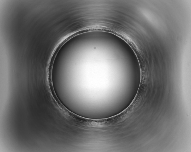 X0000094201086200710261147