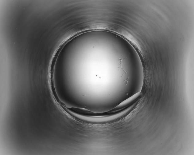 X0000094201088200710261147