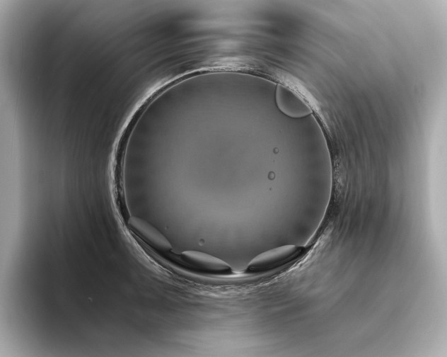 X0000094201091200710261147