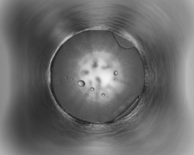 X0000094201095200710261147
