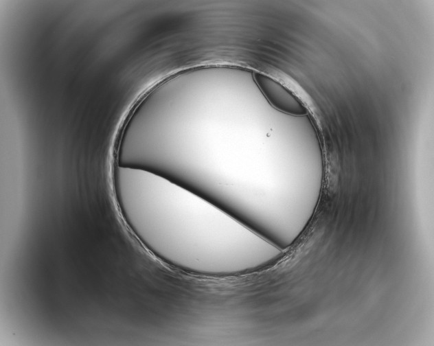X0000094201096200710261147