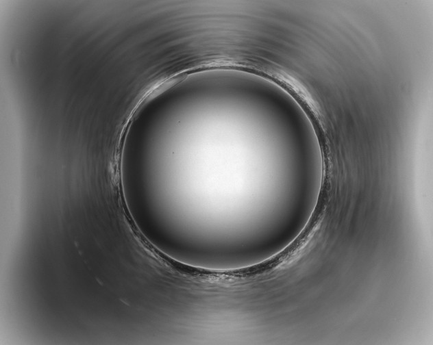 X0000094201097200710261147