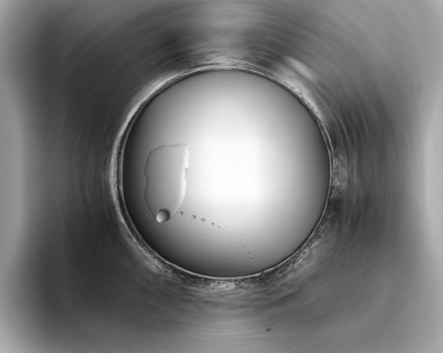 X0000094201098200710261147