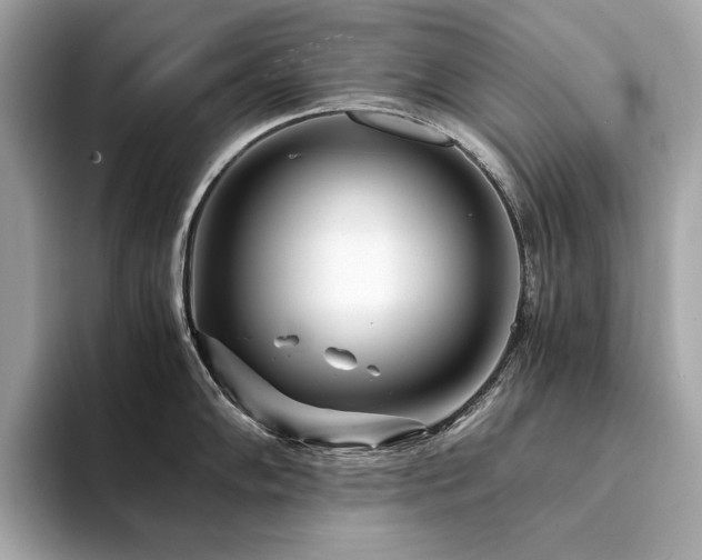 X0000094201102200710261147