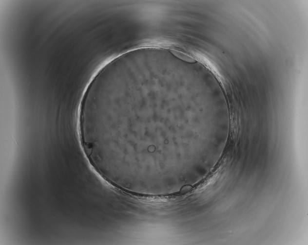 X0000094201103200710261147