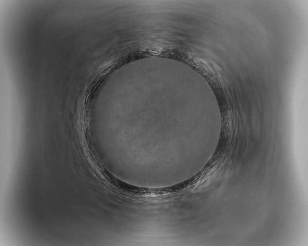 X0000094201105200710261146