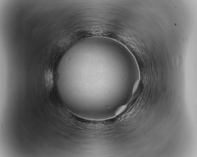 X0000094201106200710261146