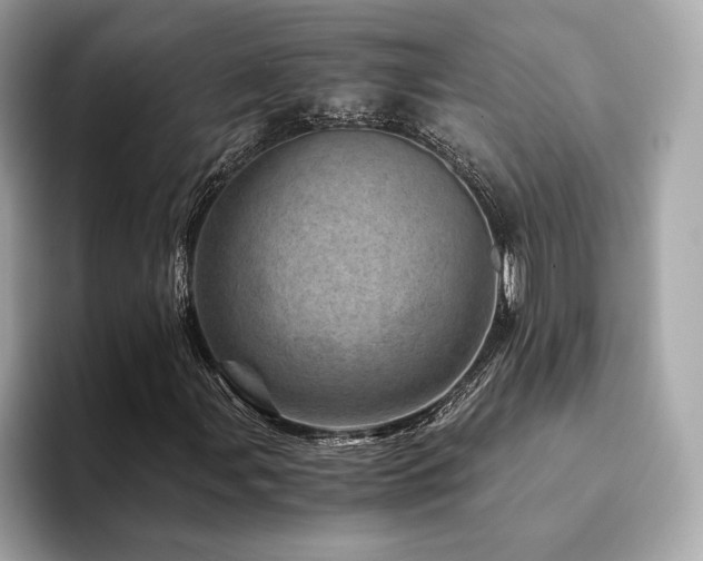 X0000094201107200710261146