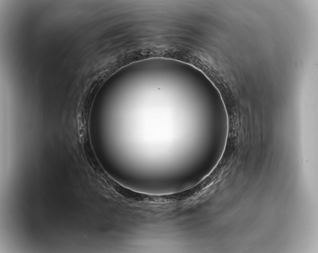 X0000094201109200710261146