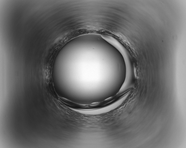 X0000094201110200710261146