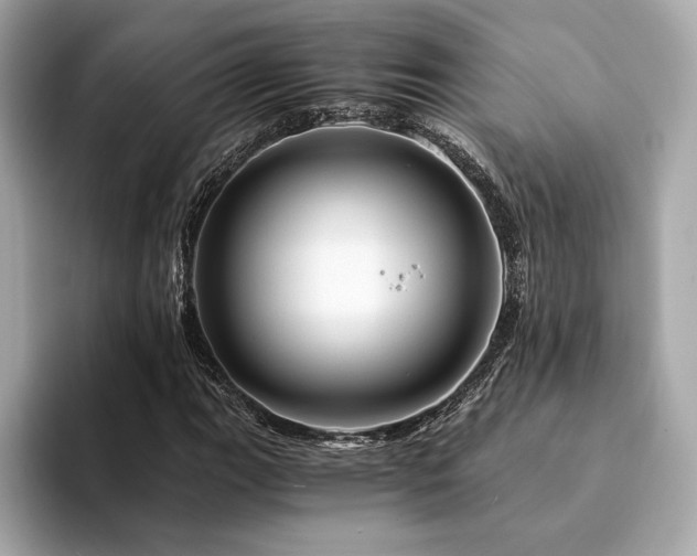 X0000094201111200710261146