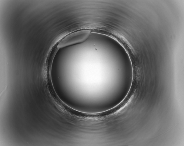 X0000094201114200710261146