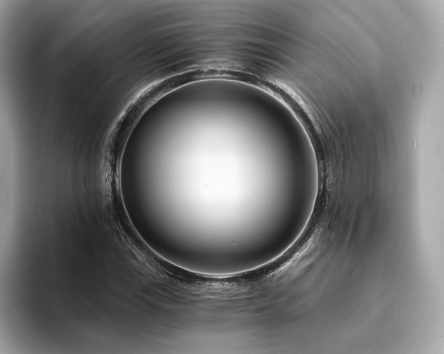 X0000094201115200710261146