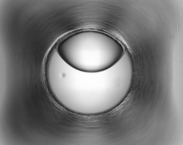 X0000094201116200710261146