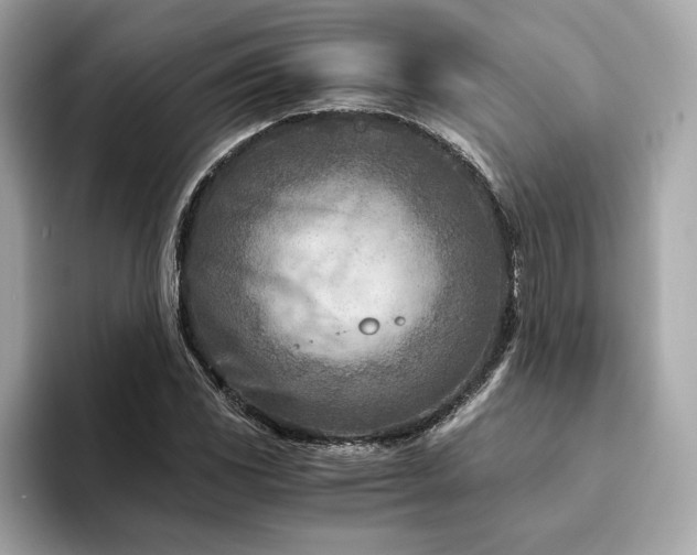 X0000094201117200710261146