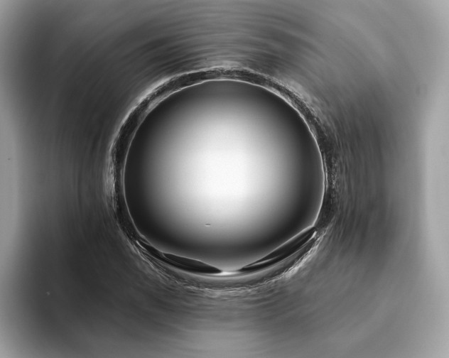 X0000094201118200710261146