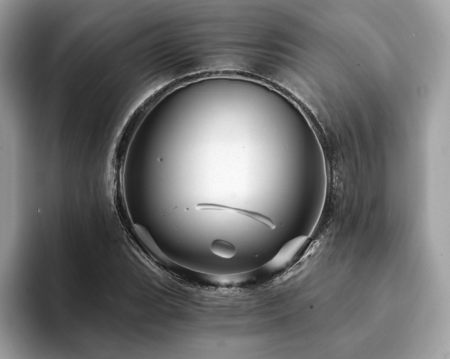 X0000094201119200710261146