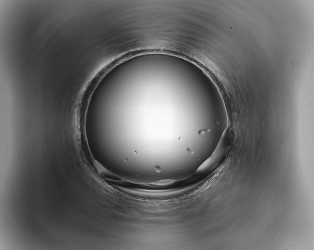 X0000094201120200710261146