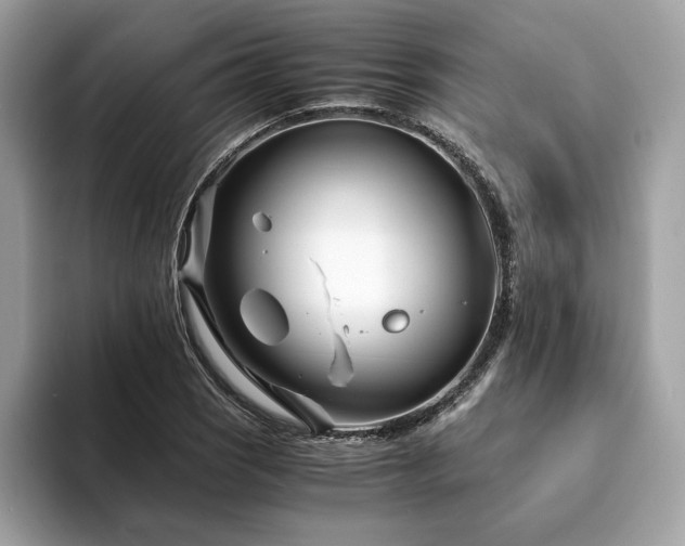 X0000094201121200710261146
