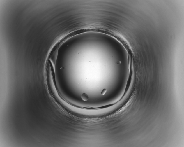 X0000094201122200710261146