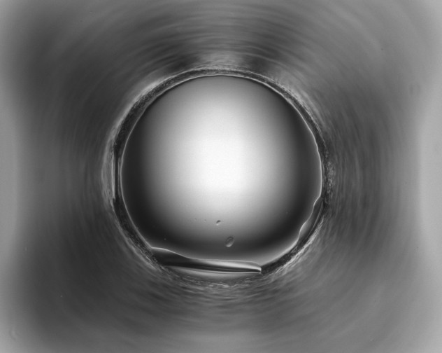 X0000094201123200710261146