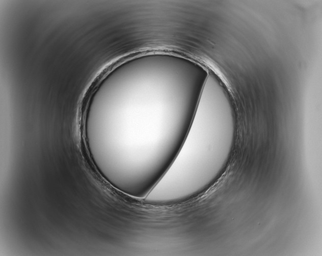 X0000094201124200710261146