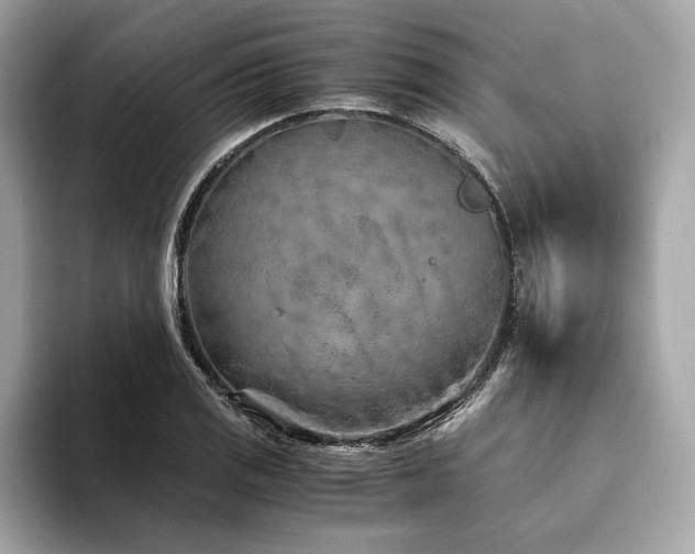 X0000094201125200710261146