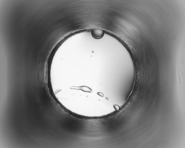 X0000094201126200710261146