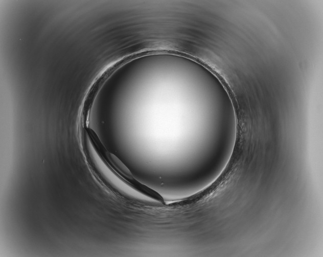 X0000094201127200710261146