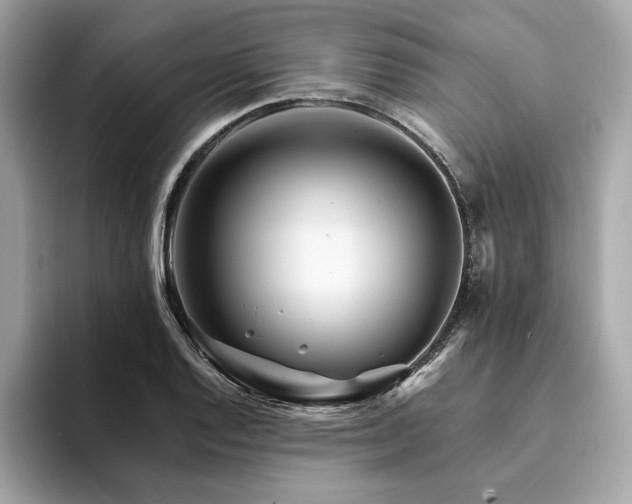 X0000094201128200710261146