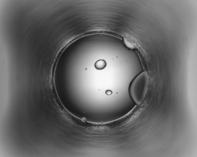 X0000094201129200710261146