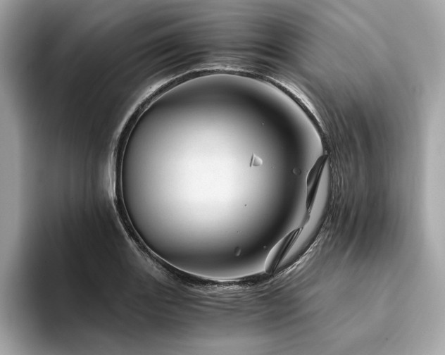X0000094201131200710261146