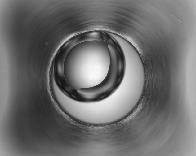 X0000094201134200710261146