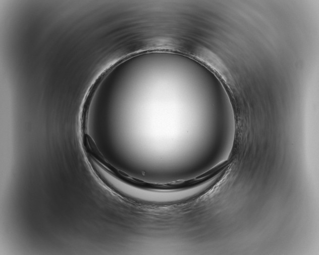 X0000094201135200710261146