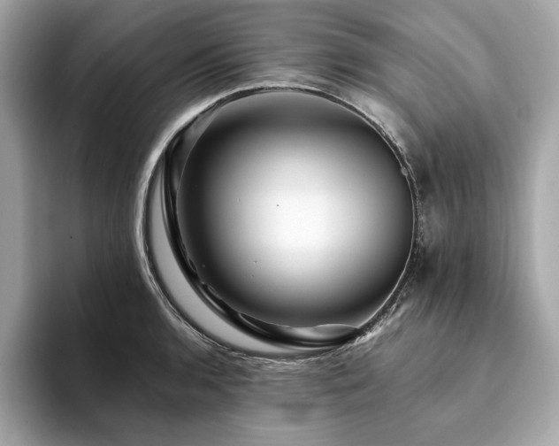 X0000094201136200710261146